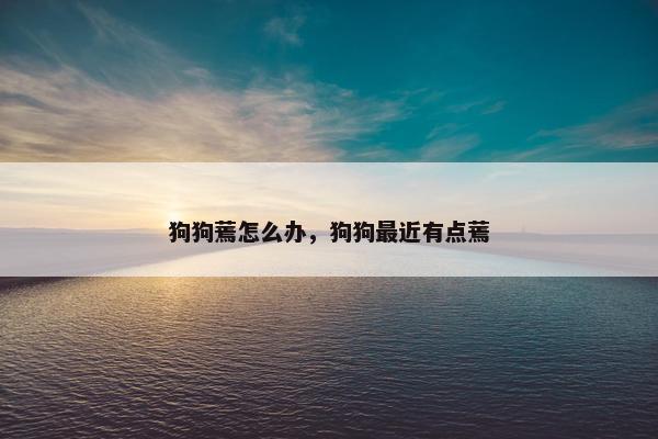 狗狗蔫怎么办，狗狗最近有点蔫