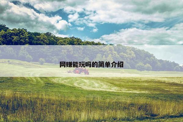 网赚能玩吗的简单介绍