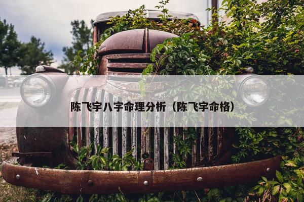 陈飞宇八字命理分析（陈飞宇命格）