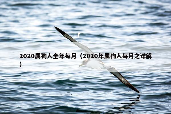 2020属狗人全年每月(2020年属狗人每月之详解)