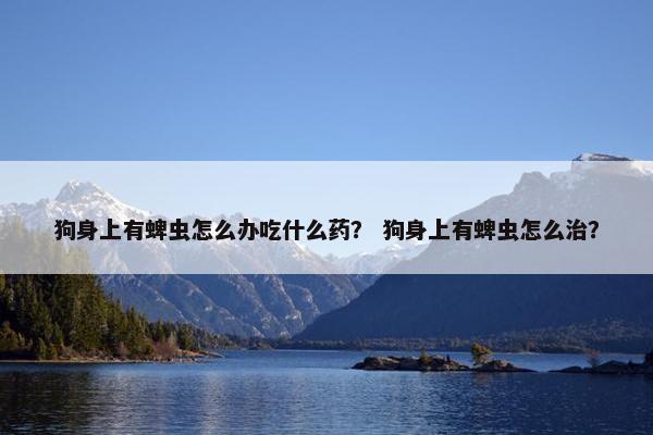 狗身上有蜱虫怎么办吃什么药？ 狗身上有蜱虫怎么治？