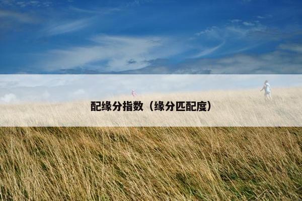 配缘分指数（缘分匹配度）