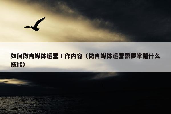 如何做自媒体运营工作内容（做自媒体运营需要掌握什么技能）