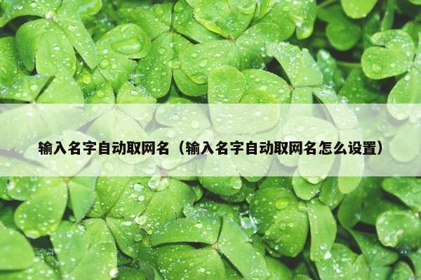 输入名字自动取网名（输入名字自动取网名怎么设置）