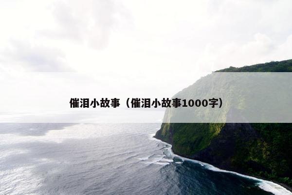 催泪小故事（催泪小故事1000字）
