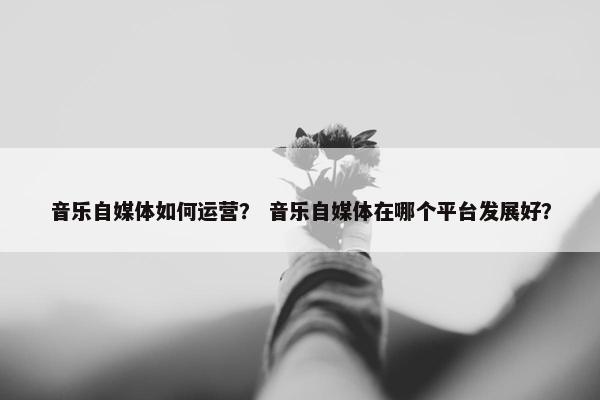 音乐自媒体如何运营？ 音乐自媒体在哪个平台发展好？
