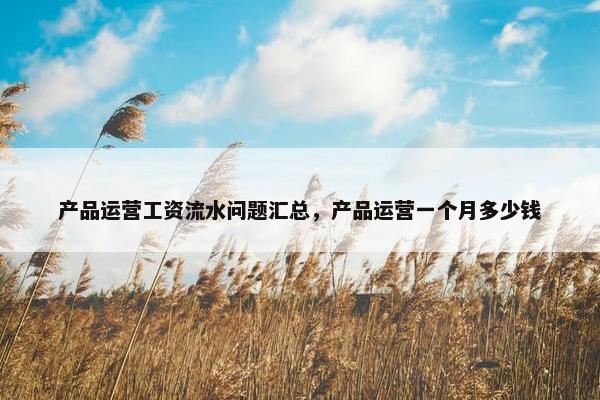 产品运营工资流水问题汇总，产品运营一个月多少钱