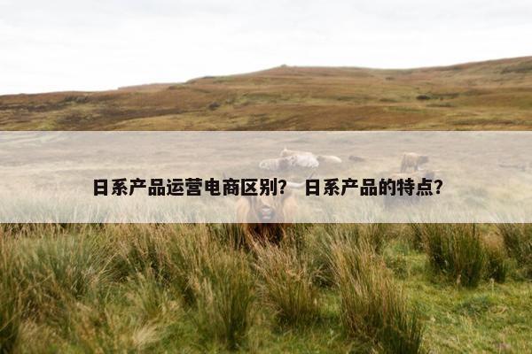日系产品运营电商区别？ 日系产品的特点？