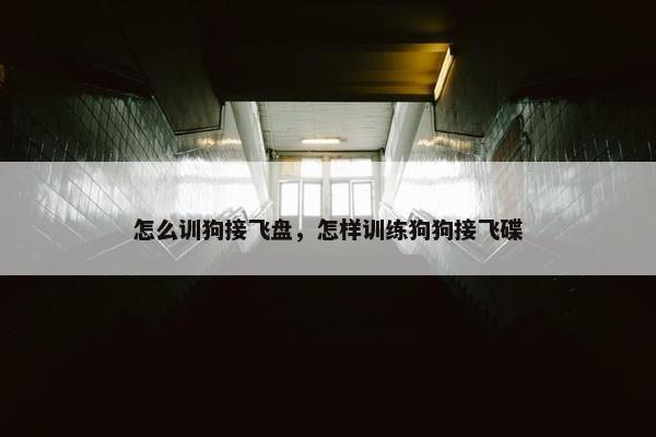怎么训狗接飞盘,怎样训练狗狗接飞碟