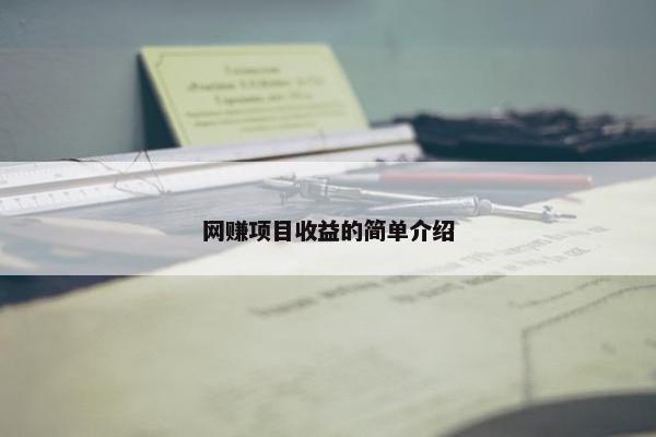 网赚项目收益的简单介绍