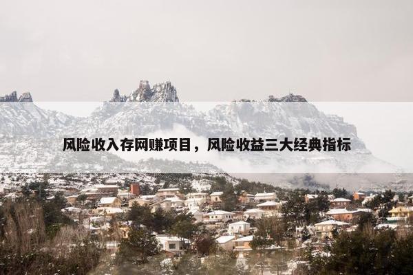 风险收入存网赚项目，风险收益三大经典指标