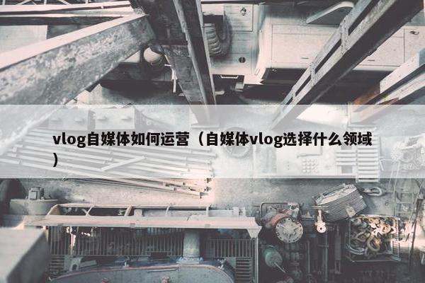 vlog自媒体如何运营（自媒体vlog选择什么领域）