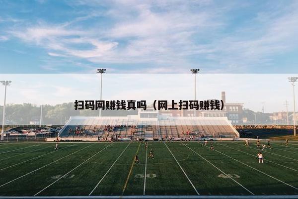 扫码网赚钱真吗（网上扫码赚钱）