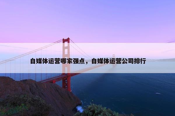自媒体运营哪家强点，自媒体运营公司排行