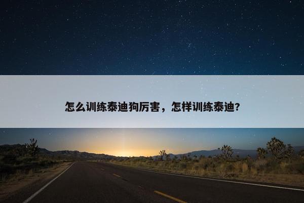 怎么训练泰迪狗厉害,怎样训练泰迪?