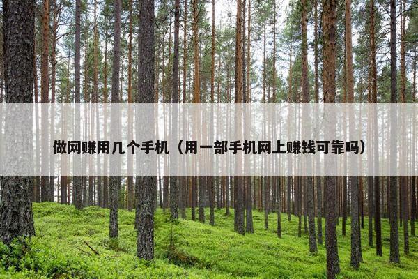 做网赚用几个手机（用一部手机网上赚钱可靠吗）
