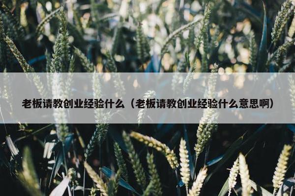 老板请教创业经验什么（老板请教创业经验什么意思啊）