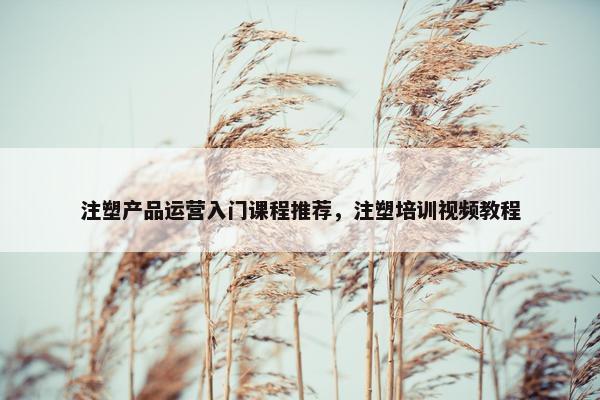 注塑产品运营入门课程推荐，注塑培训视频教程