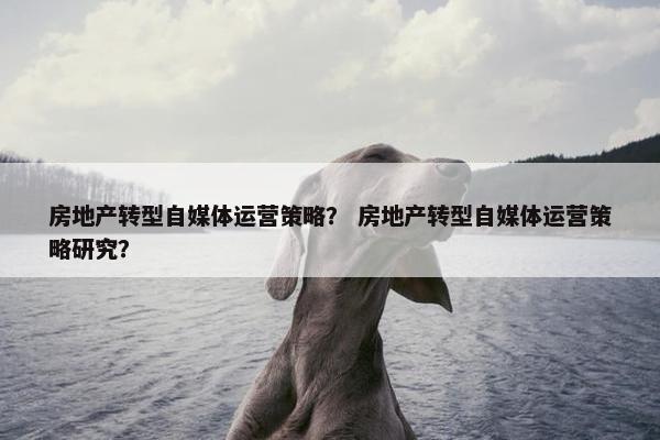 房地产转型自媒体运营策略？ 房地产转型自媒体运营策略研究？