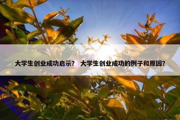 大学生创业成功启示？ 大学生创业成功的例子和原因？