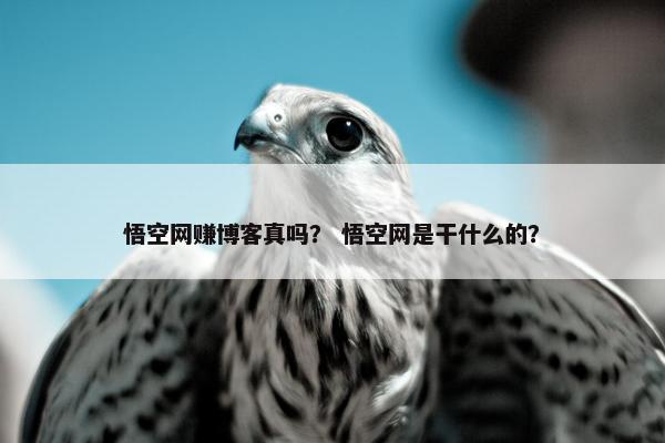 悟空网赚博客真吗？ 悟空网是干什么的？