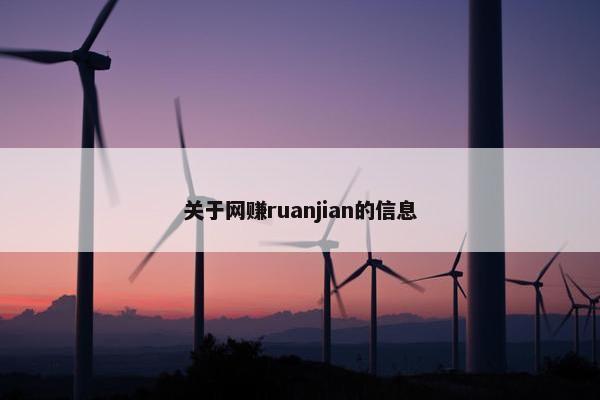 关于网赚ruanjian的信息