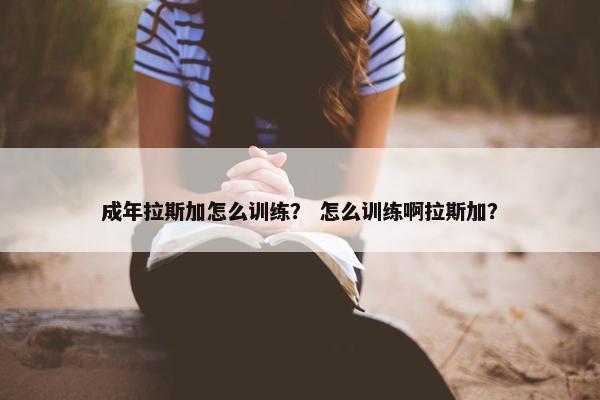成年拉斯加怎么训练? 怎么训练啊拉斯加?