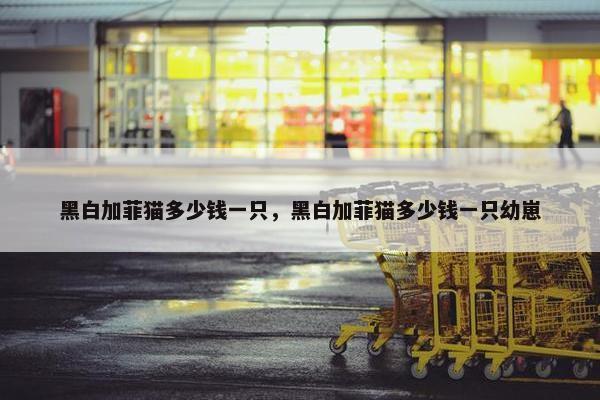 黑白加菲猫多少钱一只,黑白加菲猫多少钱一只幼崽
