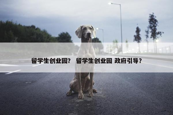 留学生创业园? 留学生创业园 政府引导?