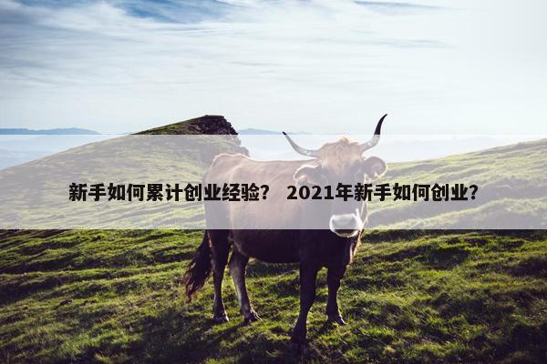 新手如何累计创业经验？ 2021年新手如何创业？