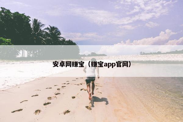 安卓网赚宝（赚宝app官网）