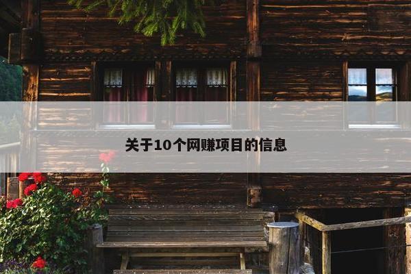 关于10个网赚项目的信息