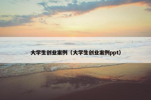 大学生创业案例（大学生创业案例ppt）