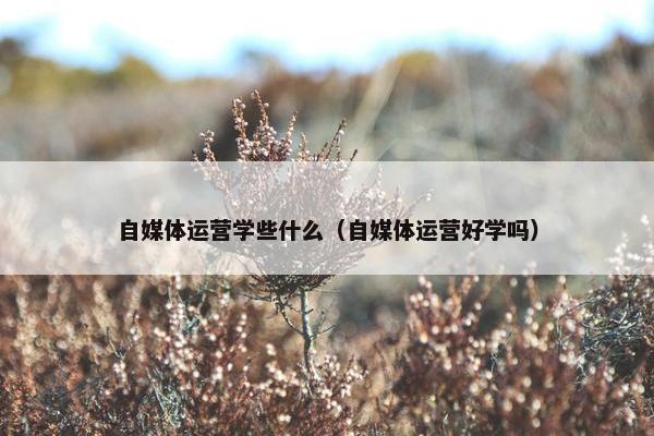 自媒体运营学些什么（自媒体运营好学吗）