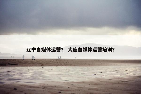 辽宁自媒体运营？ 大连自媒体运营培训？