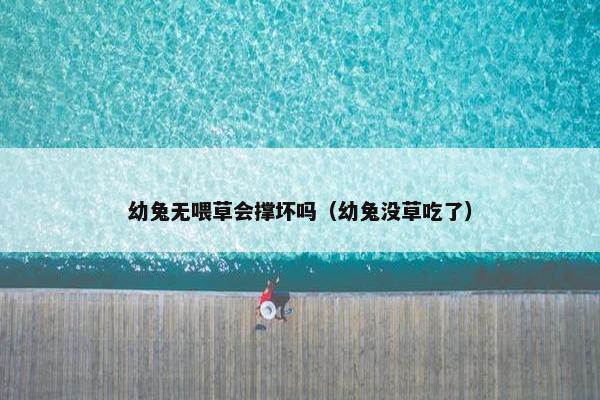 幼兔无喂草会撑坏吗（幼兔没草吃了）