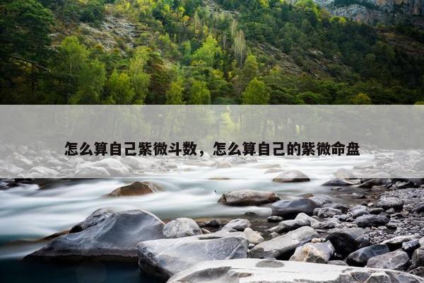 怎么算自己紫微斗数，怎么算自己的紫微命盘