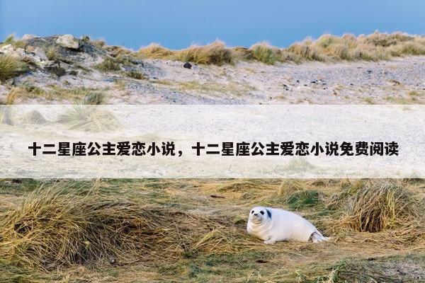 十二星座公主爱恋小说,十二星座公主爱恋小说免费阅读