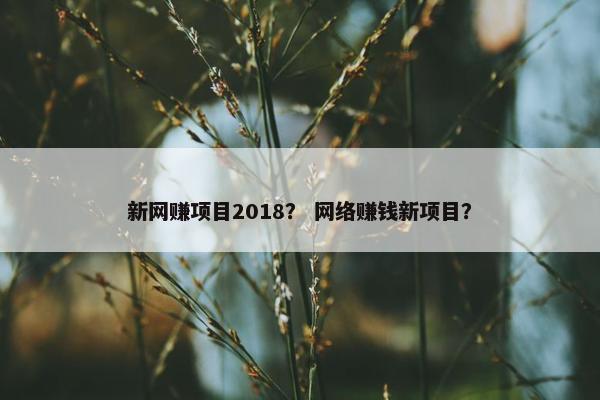 新网赚项目2018? 网络赚钱新项目? 新网赚项目2018? 网络赚钱新项目?