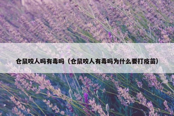 仓鼠咬人吗有毒吗（仓鼠咬人有毒吗为什么要打疫苗）