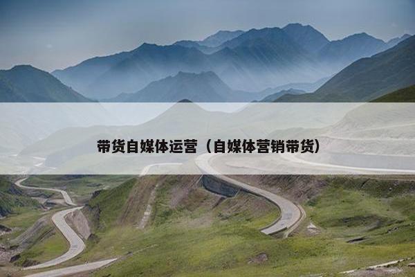 带货自媒体运营（自媒体营销带货）