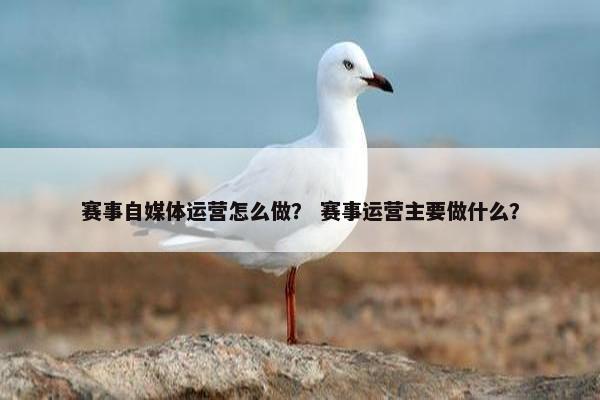 赛事自媒体运营怎么做？ 赛事运营主要做什么？