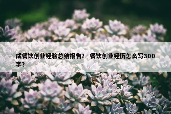 成餐饮创业经验总结报告? 餐饮创业经历怎么写300字?