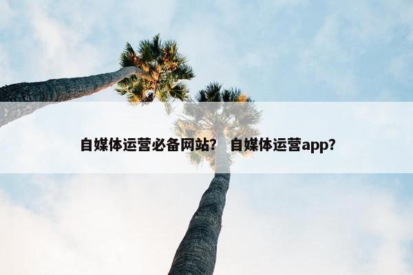 自媒体运营必备网站? 自媒体运营app?