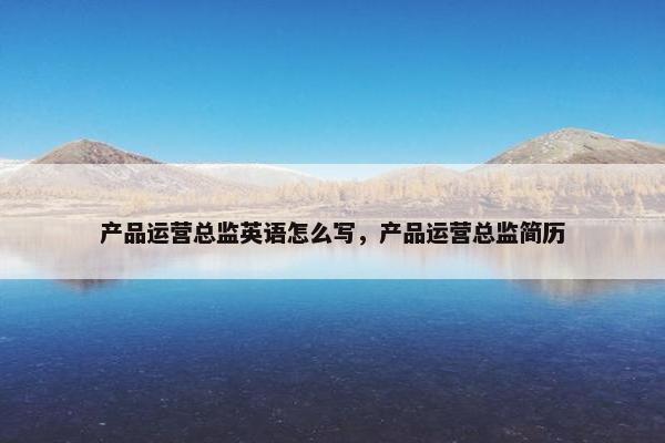 产品运营总监英语怎么写,产品运营总监简历