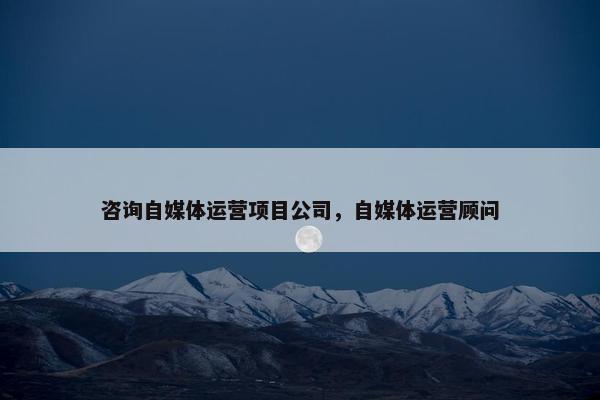 咨询自媒体运营项目公司,自媒体运营顾问