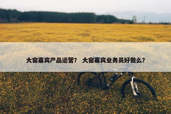 大窑嘉宾产品运营？ 大窑嘉宾业务员好做么？