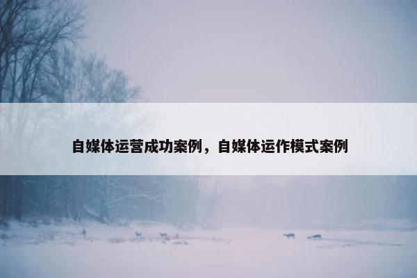 自媒体运营成功案例，自媒体运作模式案例