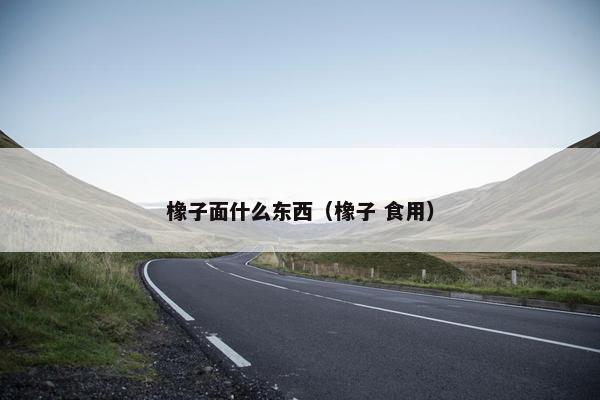 橡子面什么东西（橡子 食用）