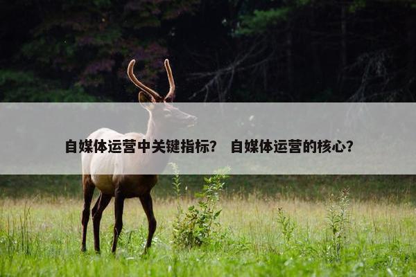 自媒体运营中关键指标? 自媒体运营的核心?